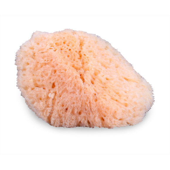 Natural Sea Sponge Applicator - Mehron Canada